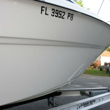 2010 Bayliner