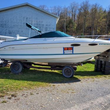 1994 Sea Ray 220 signature series