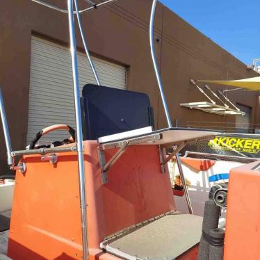 1970 Sea Ray 90 hp 2002 4 stroke like new