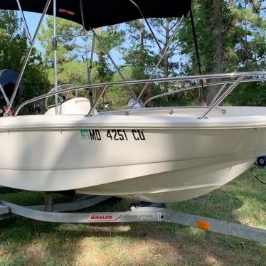 2011 Boston Whaler four stroke