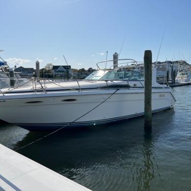 1991 Sea Ray mercruiser