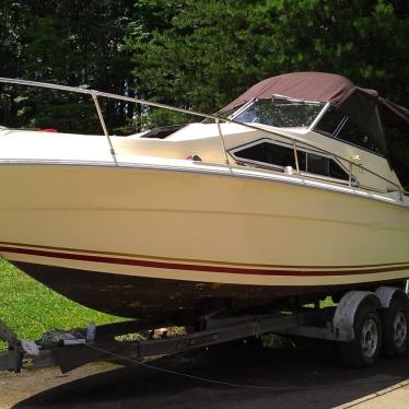 1981 Sea Ray 245 srv