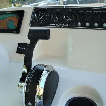 2019 Boston Whaler 115 fourstroke