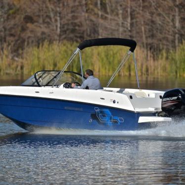 2018 Bayliner element 21