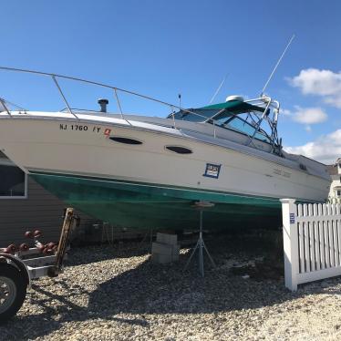 1988 Sea Ray amberjack 27ft boat