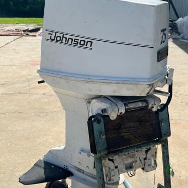 1994 Boston Whaler 75hp johnson