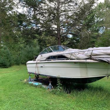 1980 Sea Ray sundancer 245