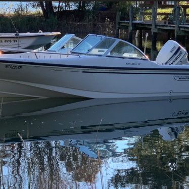 1996 Boston Whaler dauntless 17