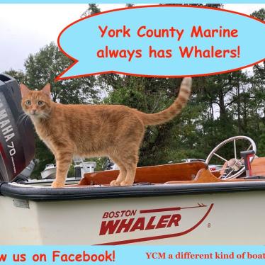 2016 Boston Whaler 150 super sport