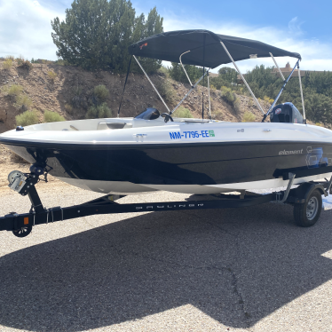 2019 Bayliner 115 pro xs