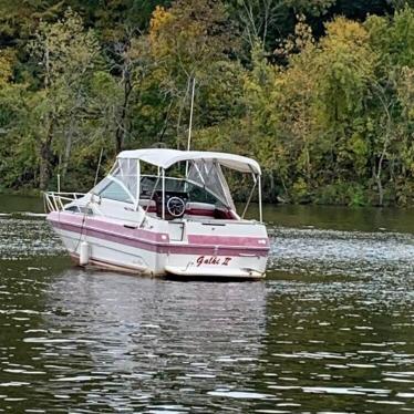 1989 Sea Ray 225 weekender