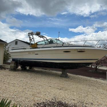 1988 Sea Ray 28ft boat