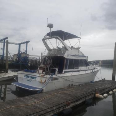 1989 Bayliner 32ft boat