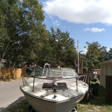 1974 Sea Ray 22ft boat