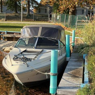 1981 Sea Ray 22ft boat