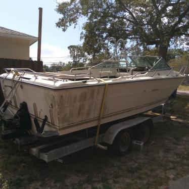 1974 Sea Ray 22ft boat