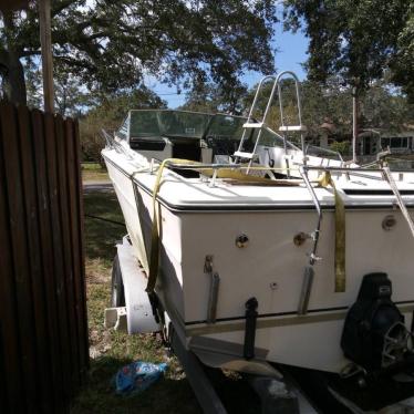 1974 Sea Ray 22ft boat