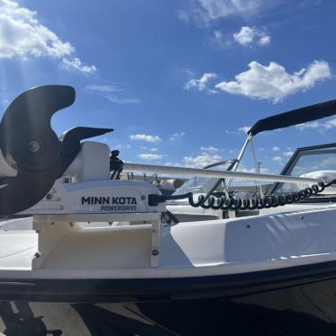 2019 Bayliner element e21