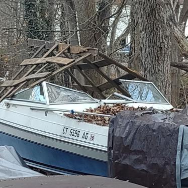 1987 Wellcraft 19ft boat