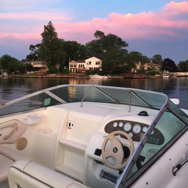 1995 Sea Ray 215 express cruiser