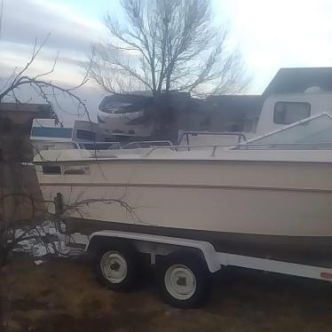 1975 Wellcraft 20ft boat