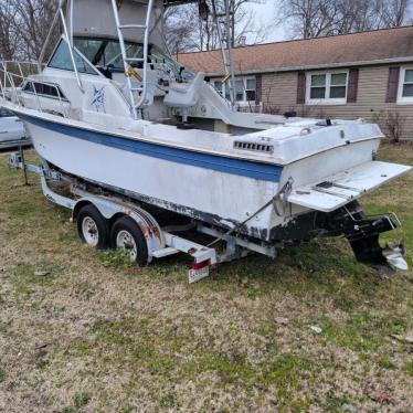 1989 Wellcraft 24ft boat