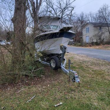 1989 Wellcraft 24ft boat