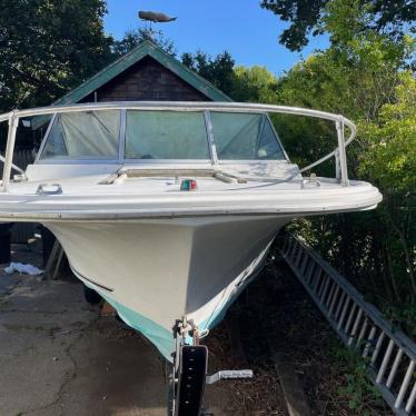 1975 Wellcraft 20ft boat