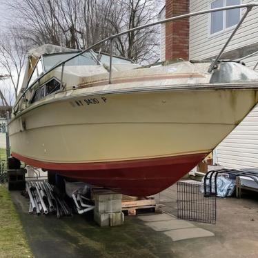 1981 Sea Ray 350