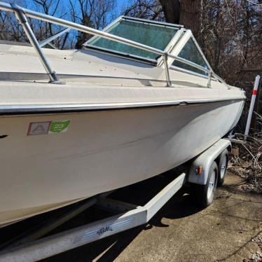 1979 Wellcraft 19ft boat