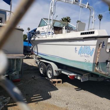 1981 Wellcraft 25ft boat