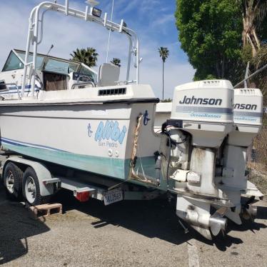 1981 Wellcraft 25ft boat