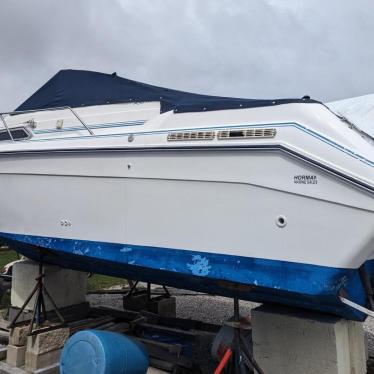 1989 Sea Ray sundancer