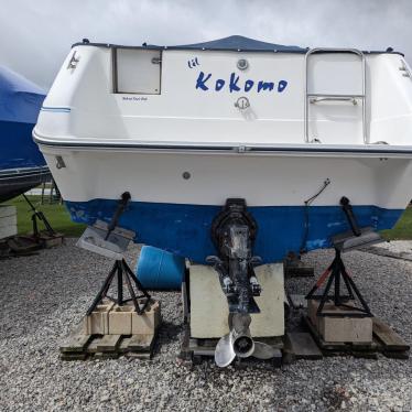 1989 Sea Ray sundancer