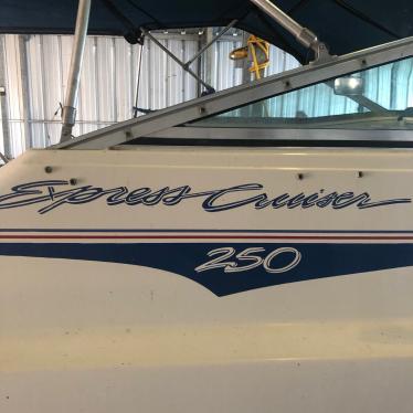 1993 Sea Ray 250 ec