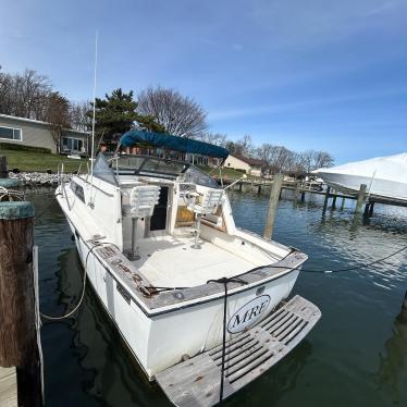 1986 Trojan 26ft boat