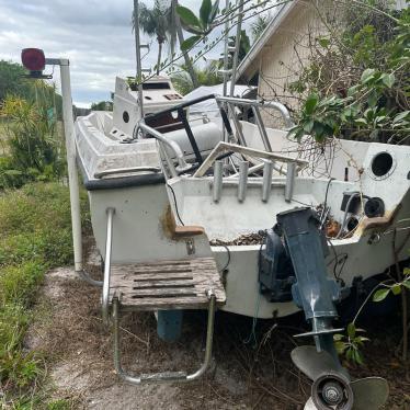 1987 Wellcraft 20ft boat