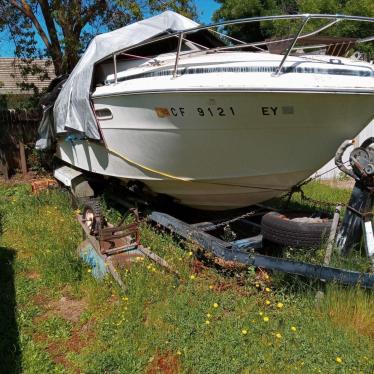 1973 Sea Ray 24ft boat