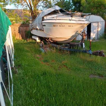 1973 Sea Ray 24ft boat