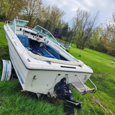 1976 Sea Ray 18ft boat