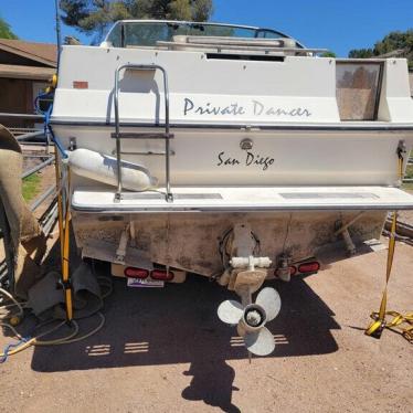 1984 Sea Ray 245 sundancer