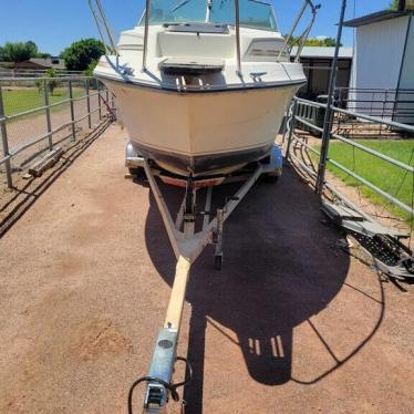 1984 Sea Ray 245 sundancer