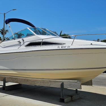 1991 Sea Ray sundancer