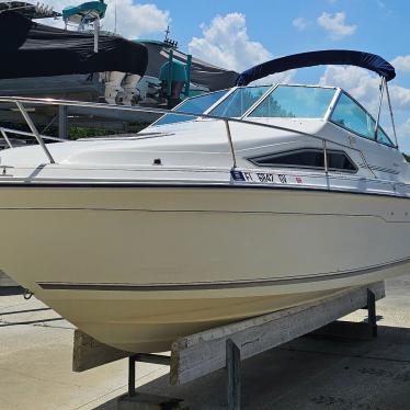 1991 Sea Ray sundancer