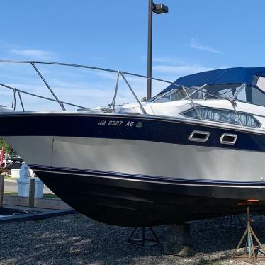 1984 Bayliner contessa