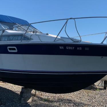 1984 Bayliner contessa