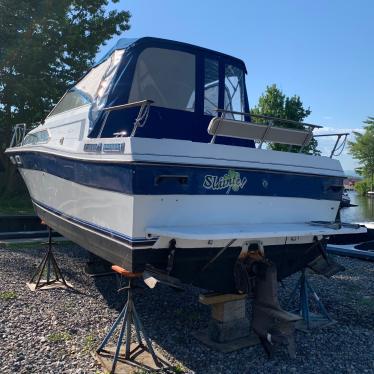 1984 Bayliner contessa