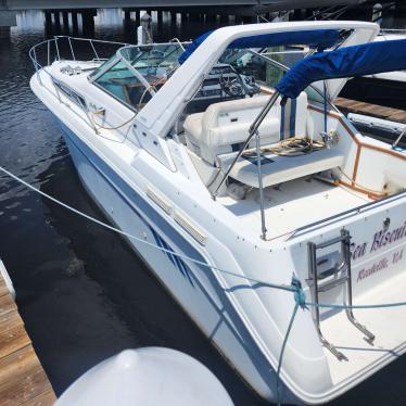 1991 Sea Ray sundancer