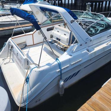 1991 Sea Ray sundancer