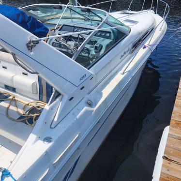 1991 Sea Ray sundancer